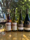 Winemaker's 2024 Summer Bundle 4pk