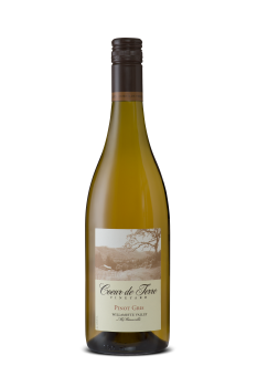 2024 Pinot Gris